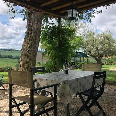 Vigna Sant' Amico Country House Morro dʼAlba Εξωτερικό φωτογραφία