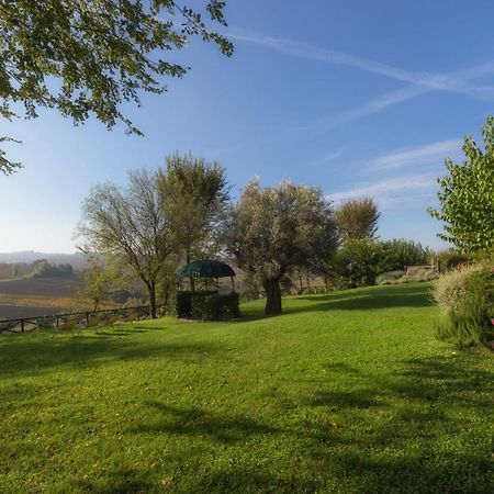 Vigna Sant' Amico Country House Morro dʼAlba Εξωτερικό φωτογραφία