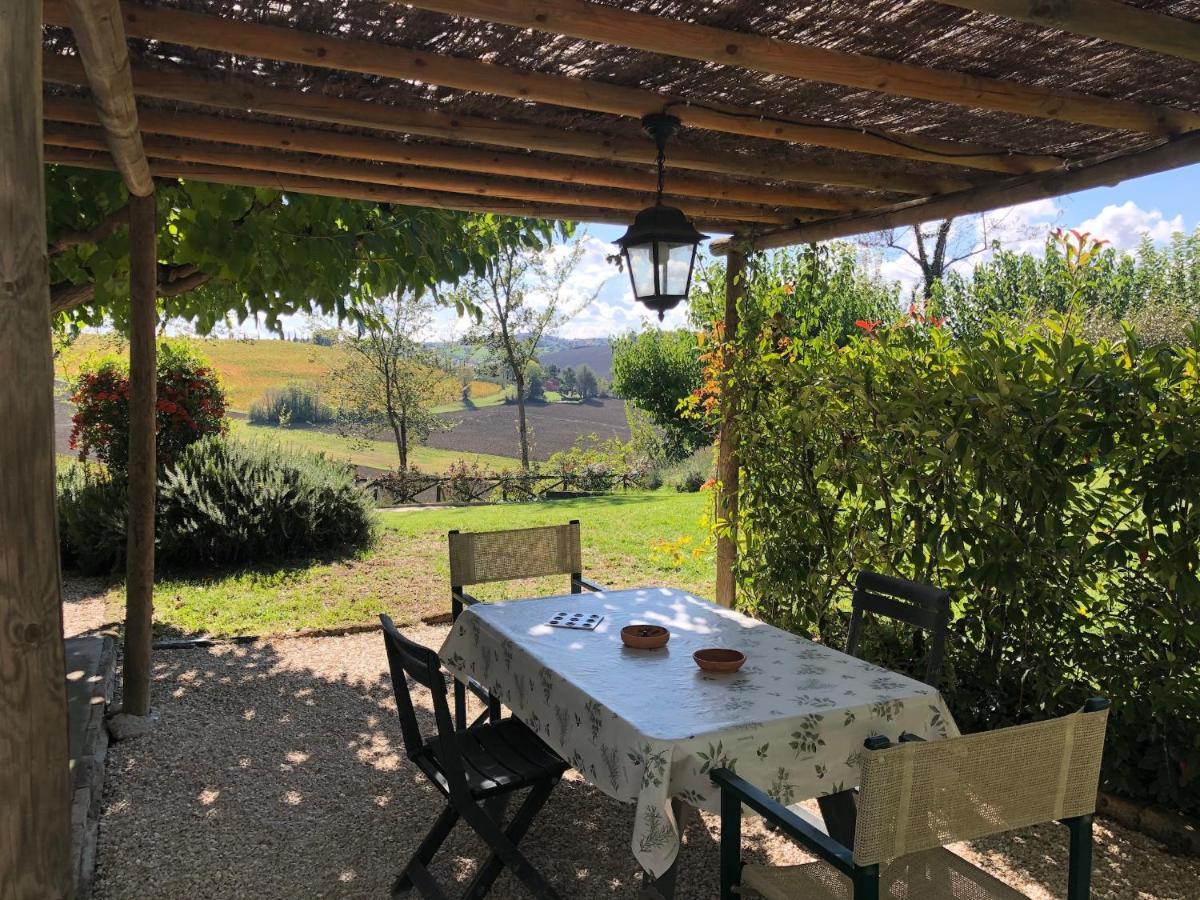 Vigna Sant' Amico Country House Morro dʼAlba Εξωτερικό φωτογραφία