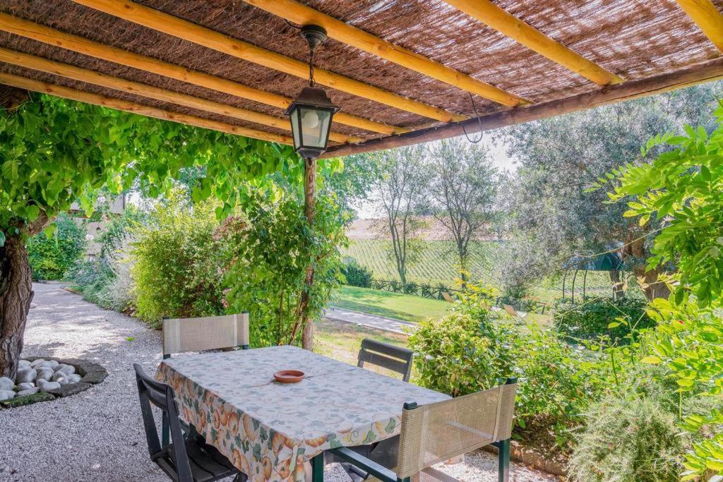 Vigna Sant' Amico Country House Morro dʼAlba Εξωτερικό φωτογραφία