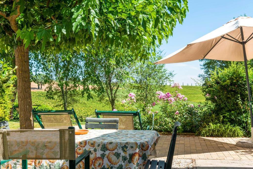 Vigna Sant' Amico Country House Morro dʼAlba Εξωτερικό φωτογραφία