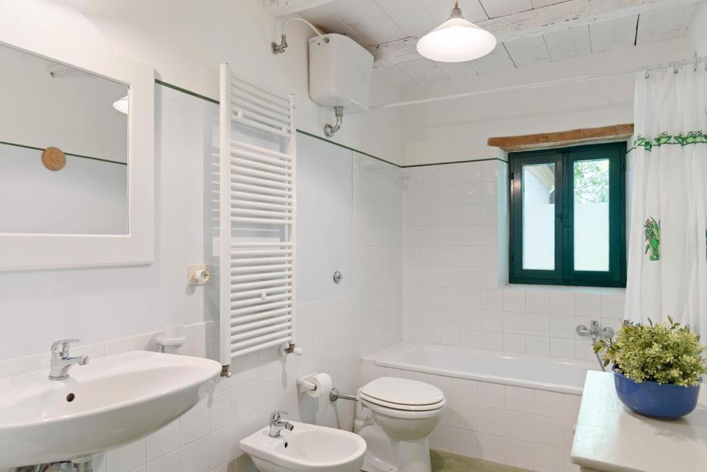 Vigna Sant' Amico Country House Morro dʼAlba Εξωτερικό φωτογραφία