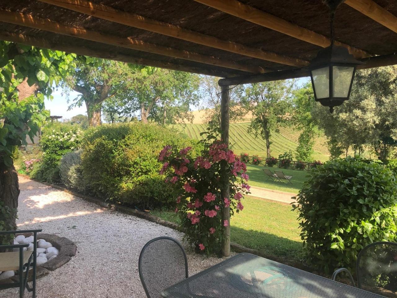 Vigna Sant' Amico Country House Morro dʼAlba Εξωτερικό φωτογραφία