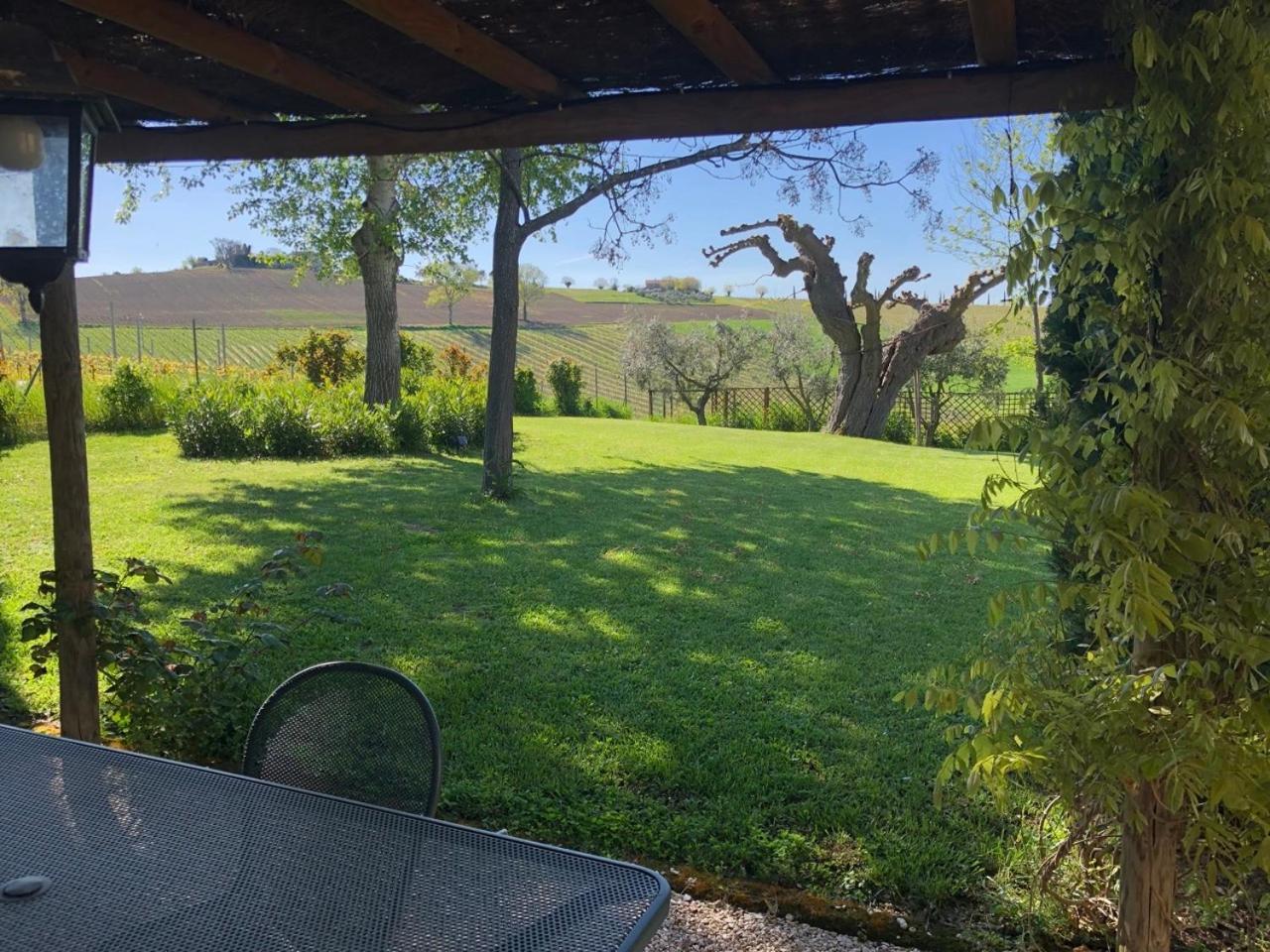 Vigna Sant' Amico Country House Morro dʼAlba Εξωτερικό φωτογραφία