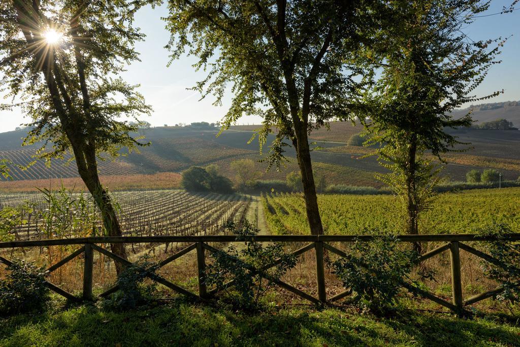 Vigna Sant' Amico Country House Morro dʼAlba Εξωτερικό φωτογραφία