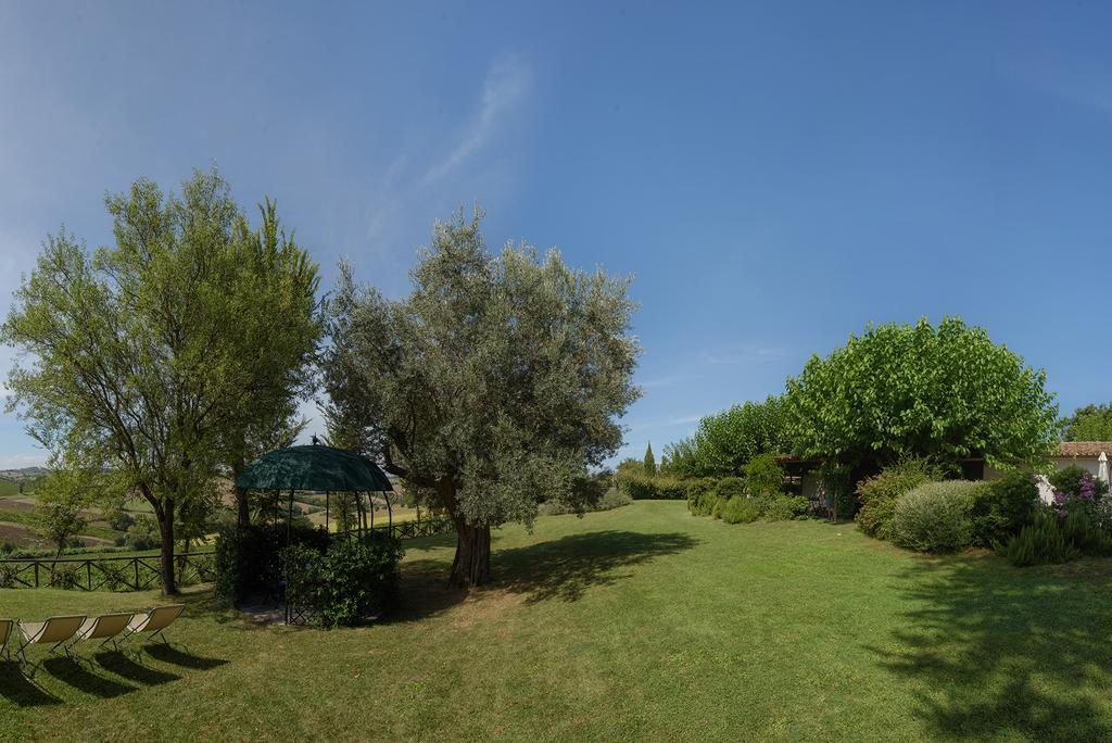 Vigna Sant' Amico Country House Morro dʼAlba Εξωτερικό φωτογραφία