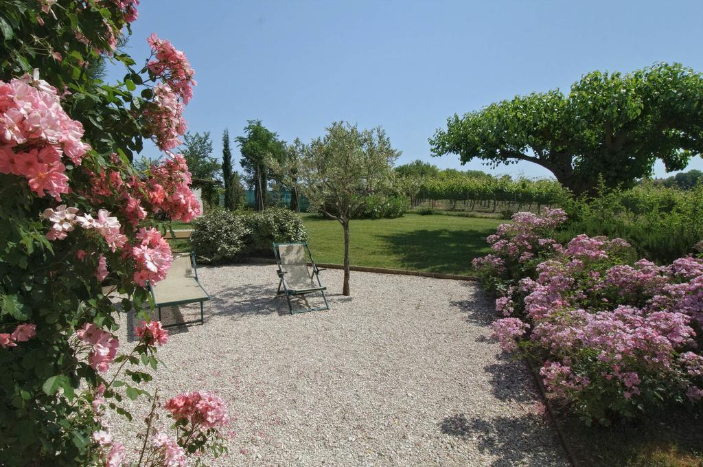 Vigna Sant' Amico Country House Morro dʼAlba Εξωτερικό φωτογραφία