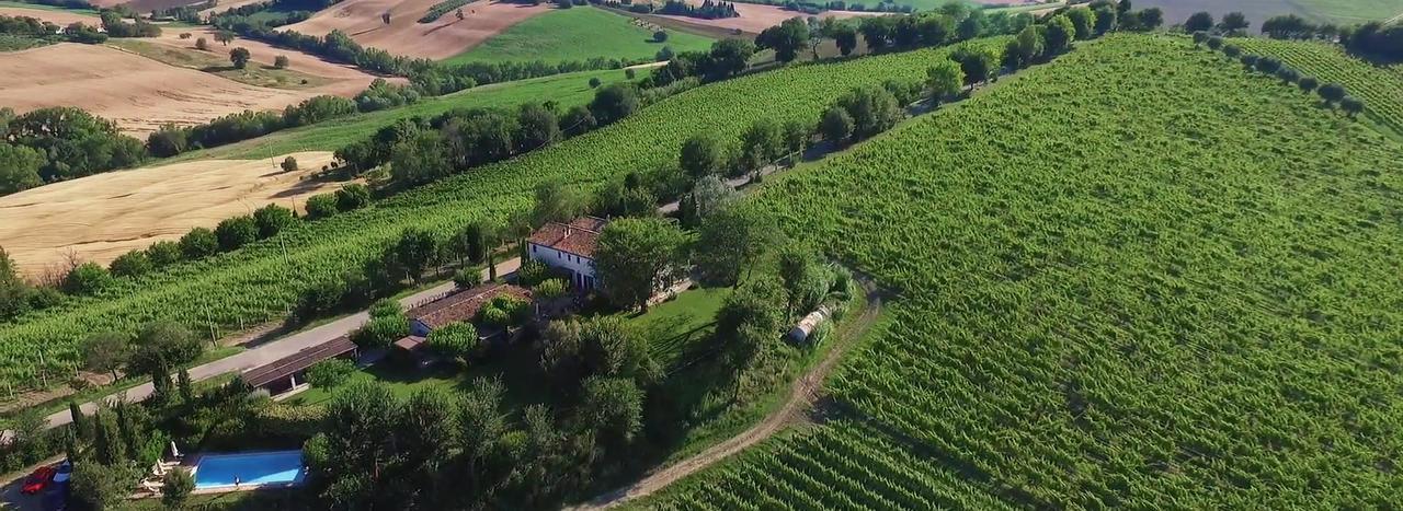 Vigna Sant' Amico Country House Morro dʼAlba Εξωτερικό φωτογραφία